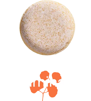 Illuminate