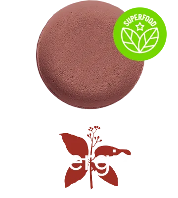 Energize